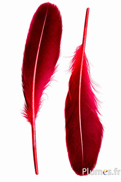 Anatra - 18-20 cm, sinistra e destra - rosso-nero